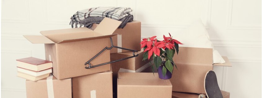 Assessing the clutter and setting goals