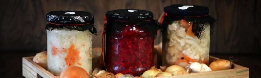 Best Fermented Foods