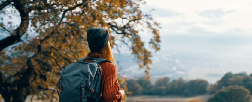 Best Road Trip Destinations in the South