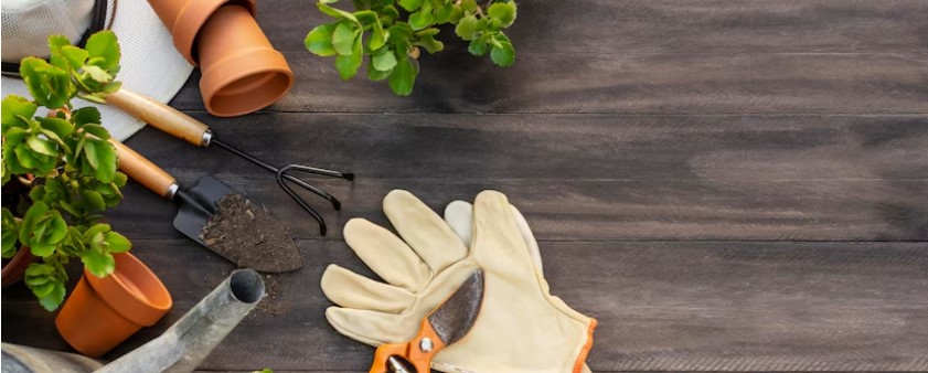 Essential Tools and Supplies for Growing Your Own Food