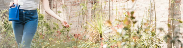 Landscaping and Greenery