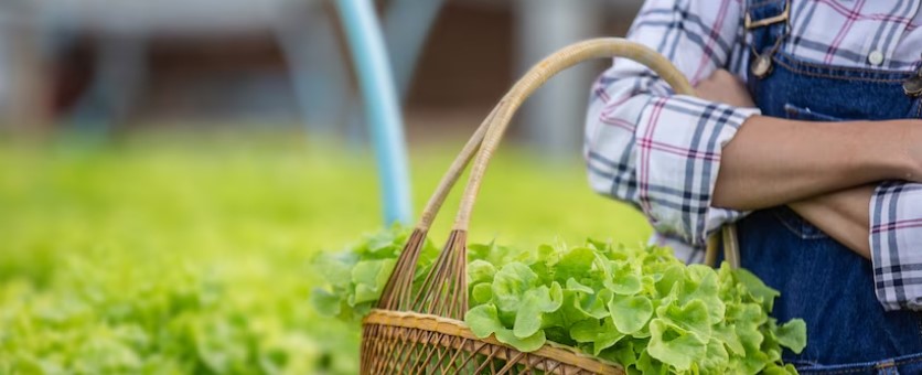 Leafy Greens