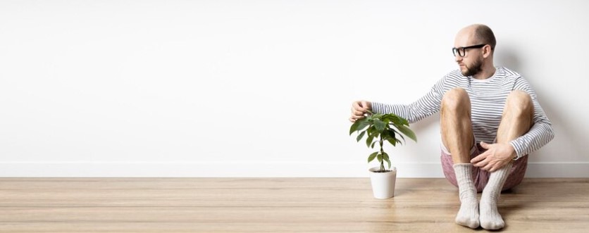 Mental Health Benefits of Indoor Plants