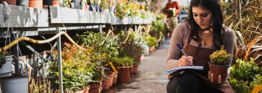 Planning Your Garden