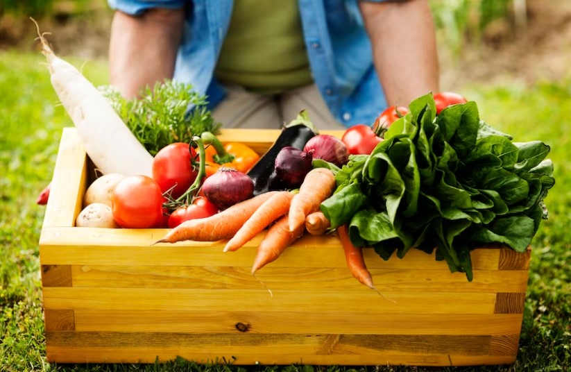 The Best Foods to Grow in Your Garden for Optimal Health