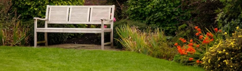 Types of Gardens to Consider